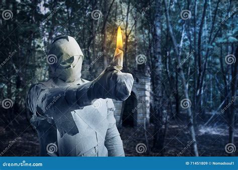 Man In Toilet Paper Burning Stock Image Image Of Festival Fire 71451809