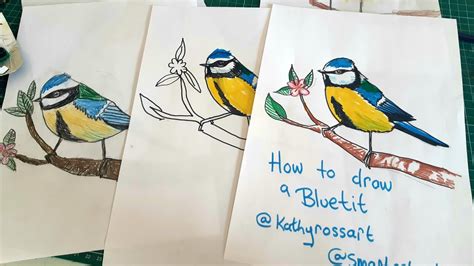 How To Draw A Blue Tit Garden Bird Youtube