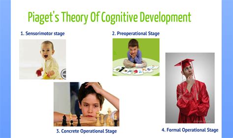 Piagets Theory Of Cognitive And Affective Development Foundations Of