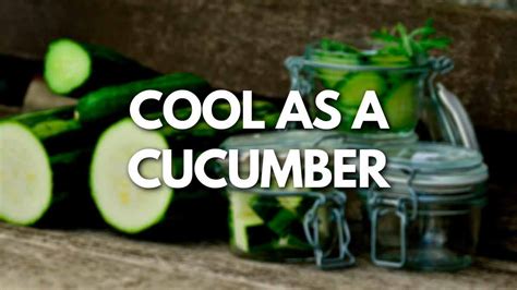 Cool As A Cucumber Значение идиомы English 5 Minutes