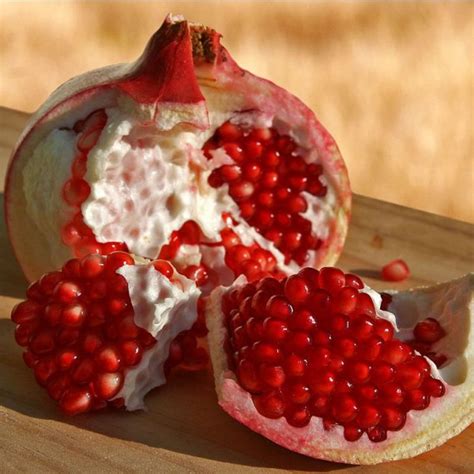 Seeds And Bulbs Punica Granatum Seeds Pomegranate Gardening And Plants