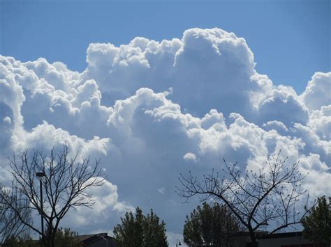 From My Back Yard First Of April Towering Cumulus Clouds Can Be Based