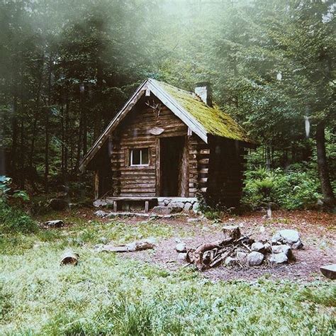 Northern Bushcraft Cabin In The Woods In 2020 Cabins In The Woods