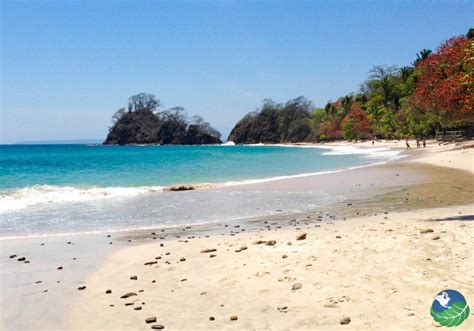 Central Pacific Coast Of Costa Rica National Parks And Surfing