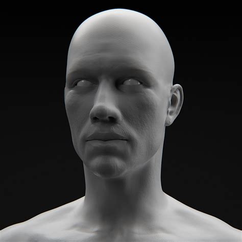 Realistic Male Body 3d Model Cgtrader