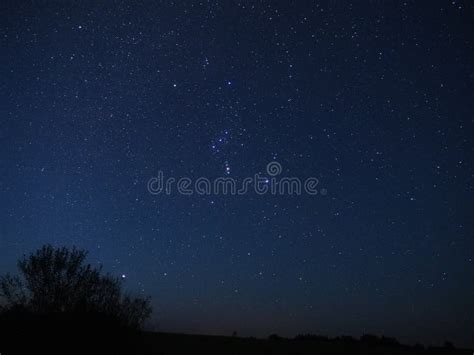 110 Orion Sirius Stock Photos Free And Royalty Free Stock Photos From