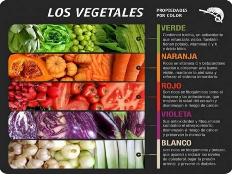 Beneficios De Los Vegetales 11 Infografías Con Todas Las Propiedades