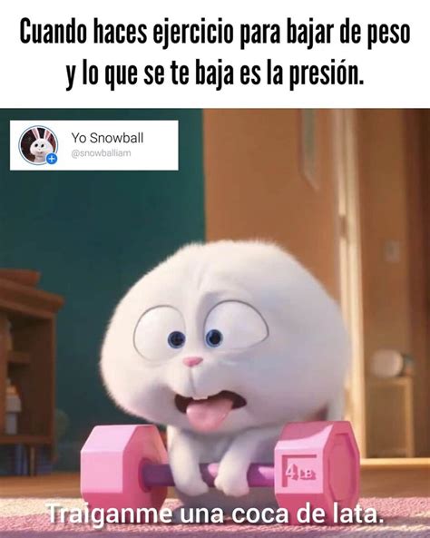 Pin De Yessy Maa En Cosas Que Dan Risa Memes De Gimnasio Carteles