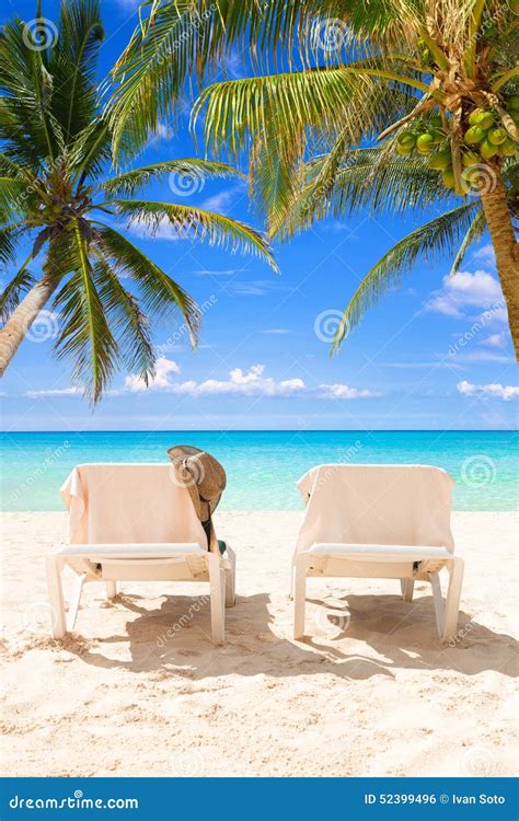 Pair Of Deck Chairs Between Coconut Palms On A Tropical Beach Stock