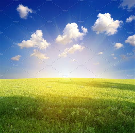 Green Grass And Blue Sky Stock Photo Containing Backdrop And Background