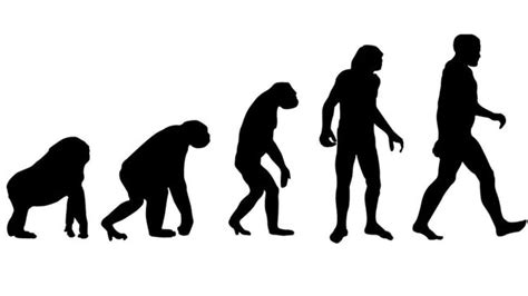 Scientists Decode Charles Darwins Evolution Theory After