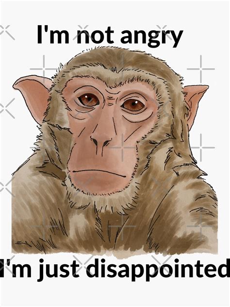 Not Angry Just Disappointed Sad Monkey Sticker For Sale By