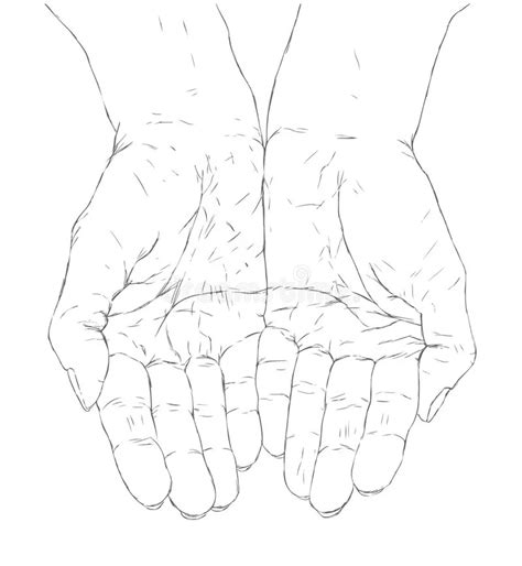 Hands Cupped Together Drawing Reference Cupped Hands Hand Art Drawing