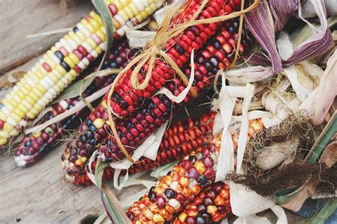 Native americans have long celebrated thanksgiving. 6 Surprising Facts About The Origin Of Thanksgiving You ...