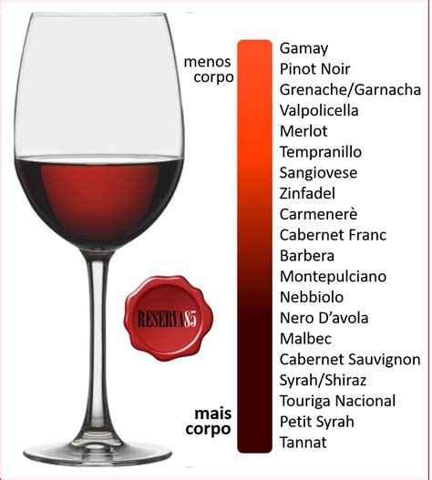 Cabernet Sauvignon Malbec Winery Tasting Room Wine Tasting Guide Vin Wine Chart Sweet