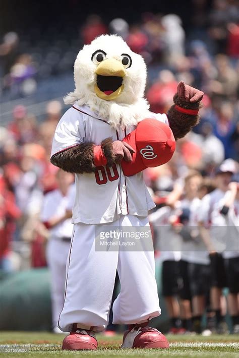 Screech Wshmay 15 2016 Mascot Washington Nationals Major League