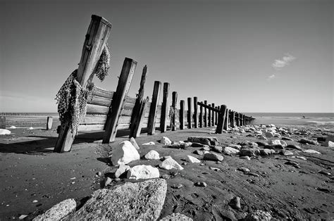 Black And White Beach With Rocks And Wood Photograph By