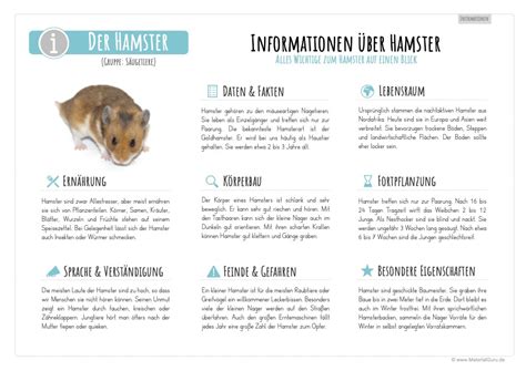 Der Hamster Materialguru
