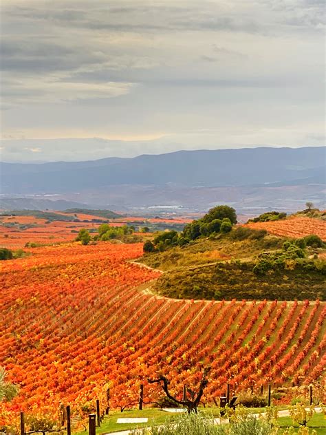 We Headed To La Rioja Spains Fine Wine Capital 🍇 To Visit The