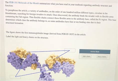 Solved The Pdb 101 Molecule Of The Month Summarizes What You