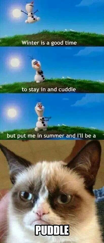Frozen Grumpy Cat Quotes Quotesgram