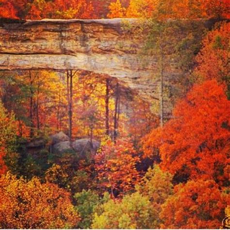 Natural Bridge State Park Beautiful Fall Colors In Kentucky Heaven On