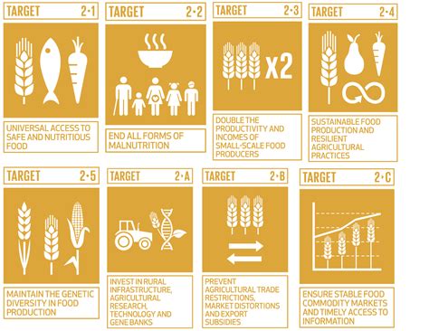 SDG End Hunger Achieve Food Security And Improved Nutrition And Promote Sustainable