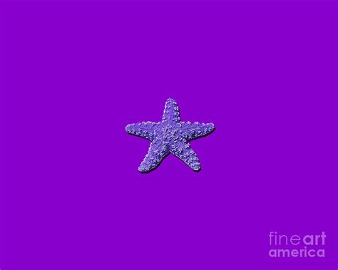 Sea Star Purple Png Photograph By Al Powell Photography Usa