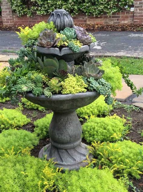 We list, explain and provide photos of the 24 garden options you have for your home and yard. Succulent Fountain Ideas: How To Convert A Fountain To A ...
