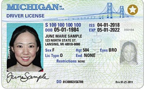 Michigan Snowbirds Dont Forget To Renew Licenses And Plates
