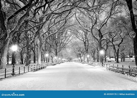 Central Park Ny Covered In Snow At Dawn Stock Photo Image Of