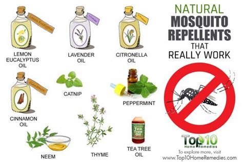 10 Natural Mosquito Repellents That Really Work Top 10 Home Remedies