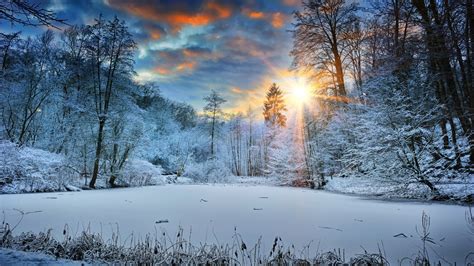 Sunbeams Landscape Snow In Winter Trees 4k Hd Nature Wallpapers Hd Wallpapers Id 40806