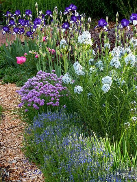 Start them early, but enjoy them for weeks. 30+ Ways to Pair Plants for the Most Beautiful Garden ...