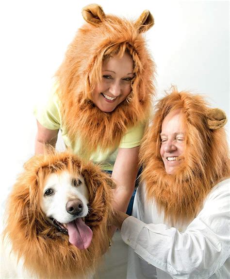 disfraz de melena del rey león peluca de león con cola para perro mediano a grande disfraces