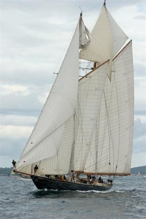 Classic Schooner Classic Sailing Classic Yachts Sailboat Art