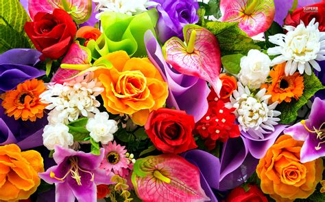 Colorful Flowers Wallpaper For Mobile Beautiful Colorful Flowers