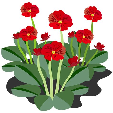 Red Flowers And Stems Clipart Free Download Transparent Png Creazilla