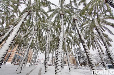 20 Spectacular Sights From The Israeli Winter And Spring