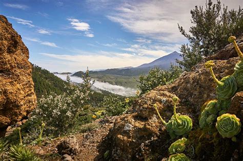 Tenerife Wallpapers Wallpaper Cave