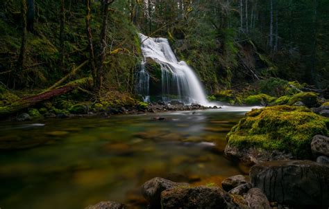 Wallpaper Forest River Stones Waterfall Moss Cascade Ford