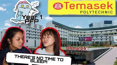 Temasek Polytechnic Pfp Courses Infolearners