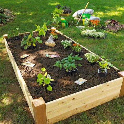 Using an edger or spade, mark the ground around the perimeter of the frame. Grow a Vegetable Garden in Raised Beds | Better Homes ...