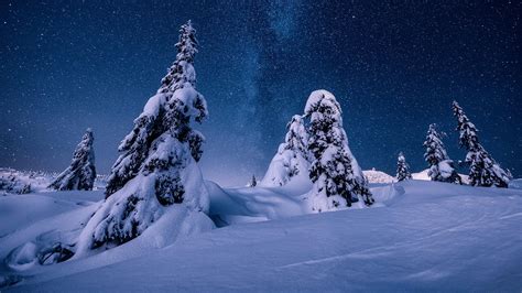 Nature Night Norway Snow Starry Sky Stars Winter Hd Winter Wallpapers