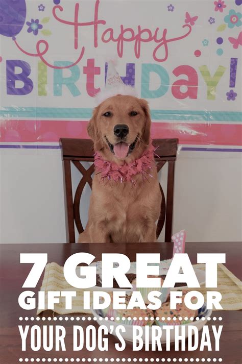 7 Great T Ideas For Your Dogs Birthday Dog Birthday Dog Birthday