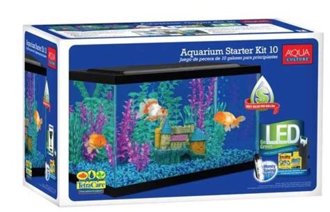 Best 10 Gallon Fish Tank Reviews Setup Fishes And Maintenance Guide