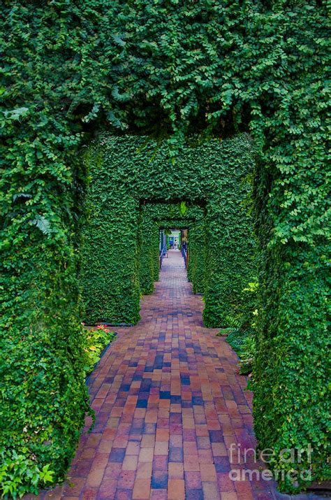 Through The Green Doorway Photograph By Ronny Purba Fine Art America
