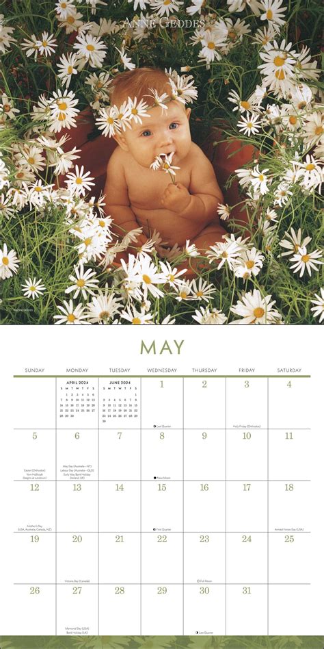 Anne Geddes 2024 Wall Calendar Book Summary And Video Official