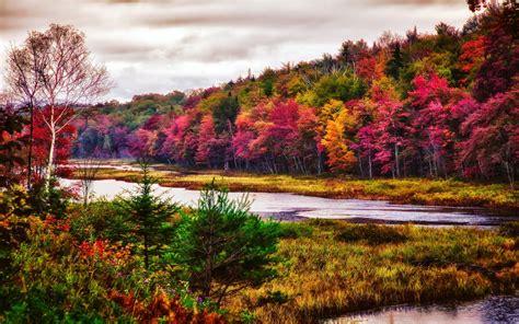 Over 399,456 fall landscape pictures to choose from, with no signup needed. Wallpaper : trees, landscape, colorful, forest, fall ...