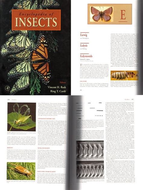 Encyclopedia Of Insects Vincent H Resh Ring T Carde